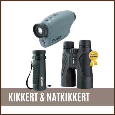 Kikkerter & Natkikkerter