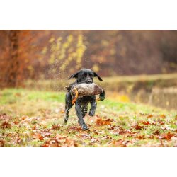 Hagl magnet K1 - til udtrkning af stlhagl i vildt