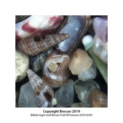 Stereo mikroskop Bresser Junior 20x