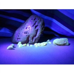 Amber Ranger ravlygte - Kit