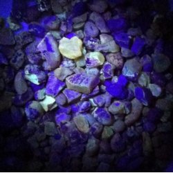 Amber Max AA ravlygte