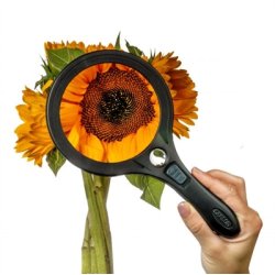 Forstrrelses glas Lum&egrave; AS-95