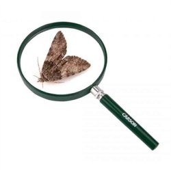 Carson BigEye lup HU-20