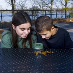 Carson Kids multi lup HU-55