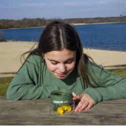 Carson Kids multi lup HU-55