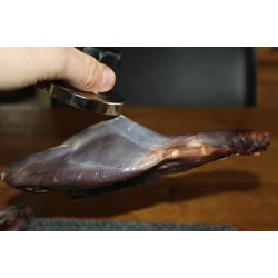 Hagl magnet K2 - til udtrkning af stlhagl i vildt