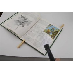 Carson kantfri lseglas RM-77